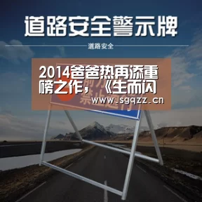 2014爸爸热再添重磅之作,《生而闪亮》来了!“九游体育”(图1) 九游体育
