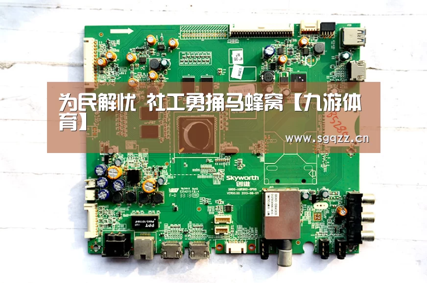 为民解忧 社工勇捅马蜂窝【九游体育】(图2) 九游体育