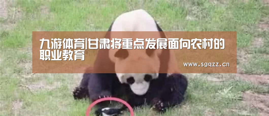 九游体育|甘肃将重点发展面向农村的职业教育(图1) 九游体育
