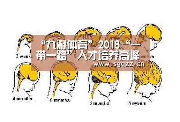 “九游体育”2018“一带一路”人才培养高峰论坛举行 共谋打造中国职业教育国际品牌(图3) 九游体育