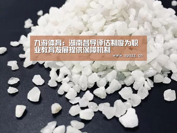 九游体育:湖南督导评估制度为职业教育发展提供保障机制(图1) 九游体育